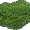 thumbnail image 3 of IFANLANDOR Contouring Makeup Brush Set Faux Vegetable Green PVC For Festival Makeup 1Set, 3 of 6