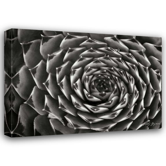 Vitaly Geyman 24x19 Gallery Wrapped Canvas Wall Art Titled - Floral Labyrinth II