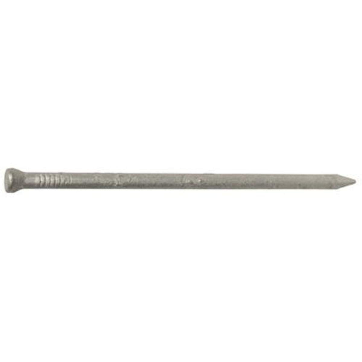 Hillman 461301 Casing Nails Hot Dipped Galvanized 2 Inch 6D Pound
