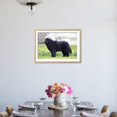 thumbnail image 4 of Newfoundland Dog, Framed Art Print Wall Art Sold by Art.Com, 4 of 6