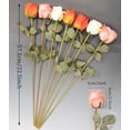 thumbnail image 3 of Artificial Rose Flowers Realistic Silk Burnt Edge Vintage Rose with Long Stem for Home Bridal Wedding Party Floral Bouquets Decoration (Pcs, Mixed Color), 3 of 5
