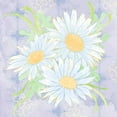 thumbnail image 3 of Mark, Leslie 20x20 Black Modern Framed Museum Art Print Titled - Daisy Patch Serenity II, 3 of 5