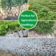 thumbnail image 4 of Bolsas de vivero de plantas no tejidas, contenedor de macetas para vegetales, flores, árboles jóvenes, cultivo de plantas, 100 Uds., 4 of 5