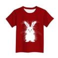 thumbnail image 4 of Boys Girls Easter Outfits Crew Neck Short Sleeve Cute Print Pullover Tops Stylish Casual Holiday T Shirts (14-15Years, Red), 4 of 5