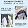 thumbnail image 5 of Dog Lift Harness,Full Body Dog Sling Carrier with Handle,Total Body Support for Dogs,Pet Dog Leg Support Sling Adjustable Retractable Breathable Lift Harness (S), 5 of 6