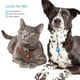thumbnail image 2 of 20 pcs Cat Collar Bells Collar colgante Bells Collar de mascotas Accesorios, 2 of 4