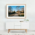 thumbnail image 6 of In Wharton State Forest - Batsto Village New Jersey Photography Unframed Wall Art Print 5 x 7 inches, 6 of 7