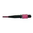 thumbnail image 5 of Eaton Tripp Lite Series 40/100/400G Multimode 50/125 OM4 Fiber Optic Cable (3x8F MTP/MPO-PC F/F), LSZH, Magenta, 45 m (147.6 ft.) - Network cable - MTP/MPO-12 multi-mode (F) breakout to MTP/MPO-24 multi-mode (F) breakout - 45 m - 0.2 in - fiber optic - 50 / 125 micron - OM4 - OFNR - halogen-free - magenta, 5 of 5