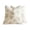 B1 #3, variant on ZZAIXHL Autumn Decorative Pillows for Bed 18x18 inch Set of 1 Fall Beige Embroidered Pumpkin Case Thanksgiving Pillows for Sofa Couch