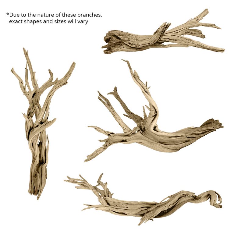 DIY Wedding Koyal Wholesale Natural California Driftwood Branch