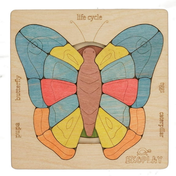 Life Cycle of a Butterfly
