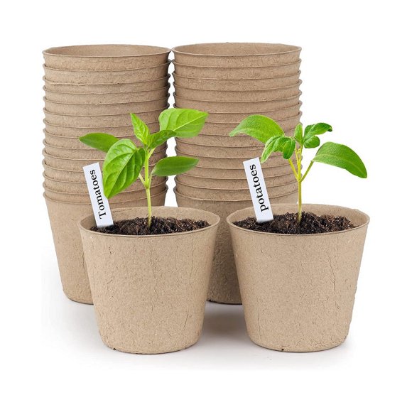 Jinsinto Paper Pulp - Biodegradable/Planting Pot/Seed Pot/Plant Cultivation Small Size 6 * 6cm 20pcs