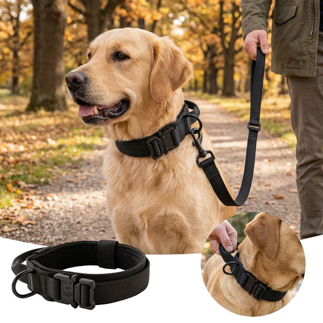 Reflective Nylon Collar With Quick Release Buckle For Secure Comfortable Daily Walks And Training