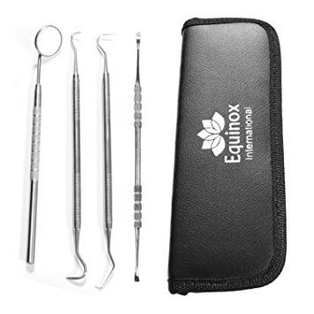 Equinox International Dental Hygiene Kit (4 Tools)