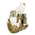 thumbnail image 2 of Pacific Giftware Perching On Tree Branch Salt and Pepper Shakers Set with Holder, 6.25" x 3" x 6.5", Snowy Owl, 2 of 8