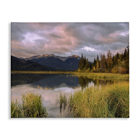 Stupell Industries Transitional Lake's Edge Landscape Canvas Art, 20 x 16, by Margaret Clavell