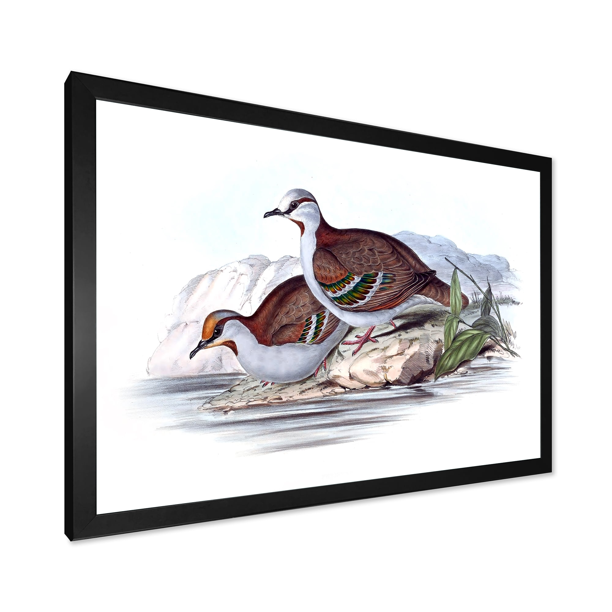 Designart 'Ancient Australian Birds IX' Traditional Framed Art Print
