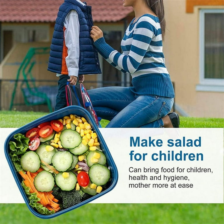 Portable Salad Lunch Container Salad Bowl 2 Compartments with Large Bento  Boxes Salad Bowls Lunch Box Lunch Container For Food
