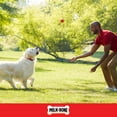 thumbnail image 4 of Milk Bone What′s Steak′n Bacon Flavor Twists, Rawhide Free Dog Chews, Bag of 20, 4 of 10
