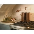 thumbnail image 5 of Danze D205057BR Opulence Wall Mount Pot Filler, Tumbled Bronze, 5 of 5