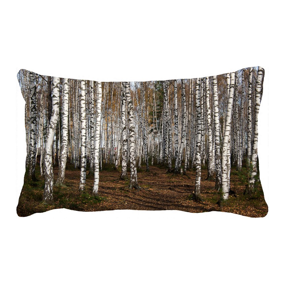 PHFZK Autumn Landscape Pillow Case, Woodland Forest with Birch Tree