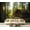 Color1, variant on Peel and Stick Wallpaper Sunlight coniferous forest Modern Art Wall Mural Decor Self Adhesive and Removable 69in x 98in