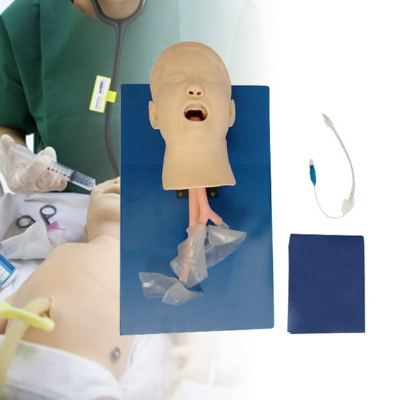 Intubation Manikin Study Teaching Training Model Airway Management Trainer