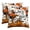 Cross B, variant on Sm:)e Cross Pumpkin Fall Pillow Covers 18x18 Inch Set of 2, Cushion Covers for Sofa Seasonal Home Decor