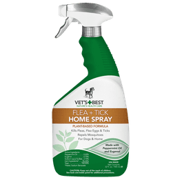 Best flea fogger for home sales