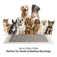 thumbnail image 5 of Petfamily Carbon Dog Training Pads Super-Absorbent 22 in x 23 in, 100 Count, 5 of 8