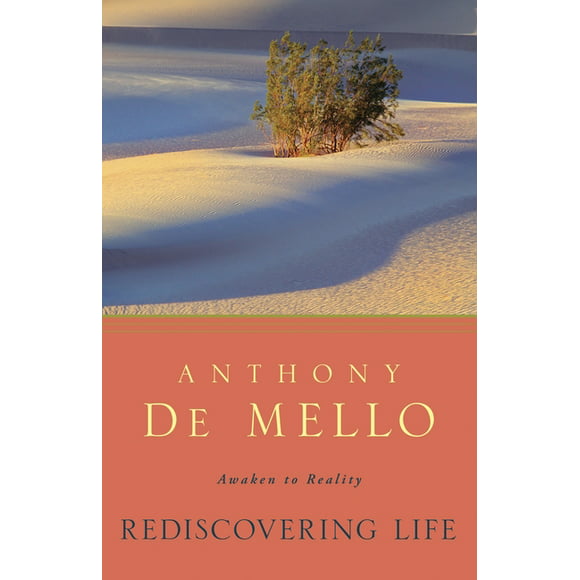 Rediscovering Life : Awaken to Reality (Paperback)