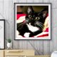 thumbnail image 1 of Cuadros Decorativos Kit de imagen de mosaico redondo completo de gato negro de bigote largo de pintura de diamante 30x30cm Ehuebsd  Nuevos Originales, 1 of 9