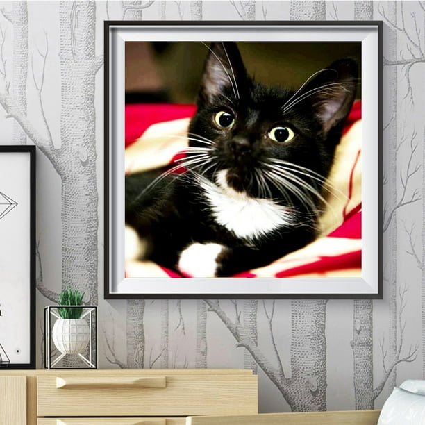 Cuadros Decorativos Kit de imagen de mosaico redondo completo de gato negro de bigote largo de pintura de diamante 30x30cm Ehuebsd Nuevos Originales