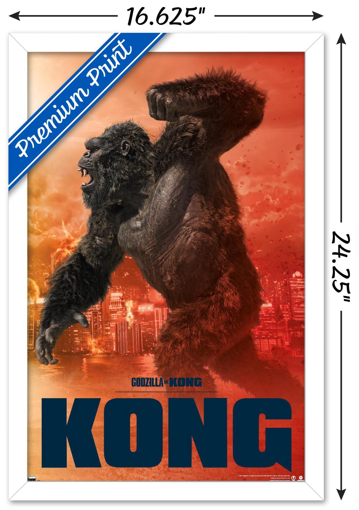 GODZILLA vs Mondo – Poster Kong Vs. Godzilla A4サイズ パンフレット KONG その他