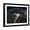 Black Frame, variant on Art.com Night View of the Eastern Mediterranean Sea Photo, Brown Frame Wall Art, 40" x 32"
