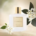 thumbnail image 6 of COCORRÍNA  White Jasmine Reed Diffuser Set, 6 of 6