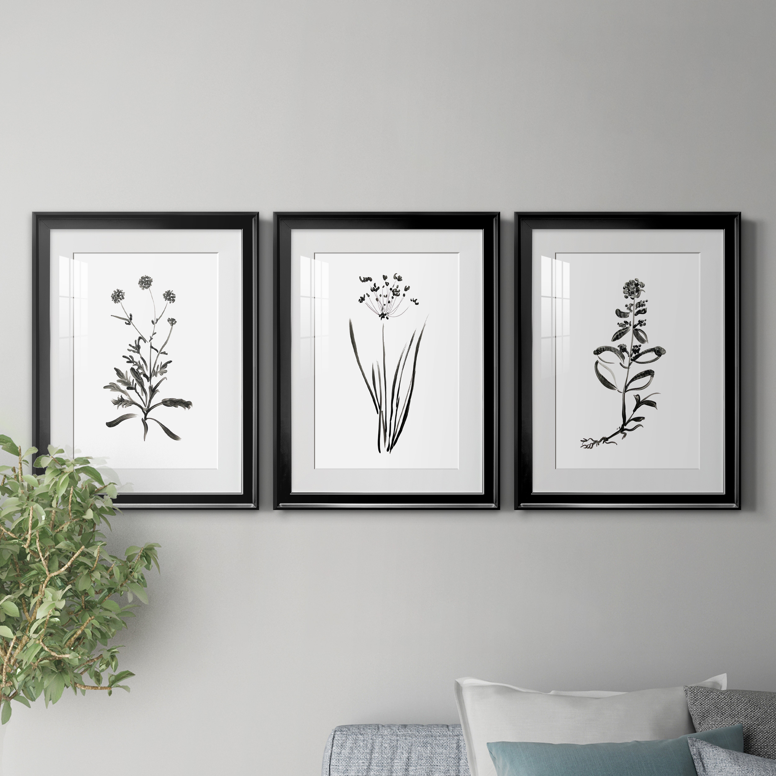 Inky Botanical I Premium Framed Prints Set of 3 - Ready to Hang - 22 x 30 Each - Black Frame