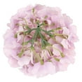 thumbnail image 5 of Simulation Silk Hydrangea Flower Head Color Of Pink , Hydrangea Heads Artificial Flowers Heads With Stems For Home Wedding Decor Pack Of 10, 5 of 6