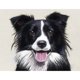 thumbnail image 1 of 5D DIY Taladro Diamante Pintura Perro Bordado Mosaico Artesanía Kits Del, 1 of 9