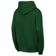 thumbnail image 3 of Youth Outerstuff  Green New York Jets Back to Basics Hoodie, 3 of 3