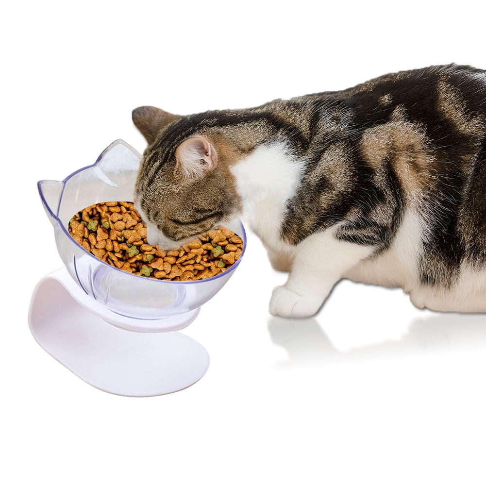 anti spill cat bowl