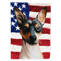 Carolines Treasures CK6674CHF Ratonero Valenciano Dog American Canvas House Size Outdoor-Flags, Multicolor