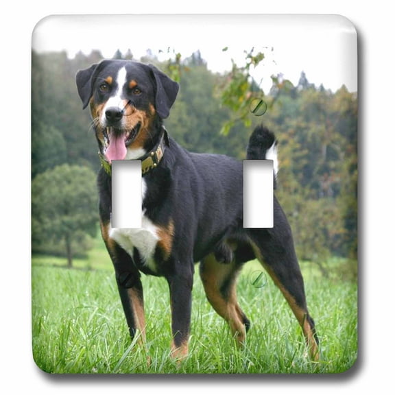 3dRose, Appenzeller Mountain Dog, double toggle switch