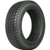 Bridgestone Blizzak DM-V1 255/60R17 106R BSW