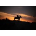 thumbnail image 2 of Jaynes Gallery 24x17 Black Ornate Wood Framed with Double Matting Museum Art Print Titled - Europe-France-Provence-Camargue horse with rider at sunrise, 2 of 4