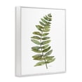 thumbnail image 3 of Stupell Industries Curved Fern Branch Floral Painting White Framed Art Print Wall Art, 16 x 20, 3 of 8