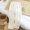 Beige1, variant on Pajamas Pants for Womens Flannel Fleece Soft Cozy Warm Sleepwear Elastic Waist Pjs Pants
