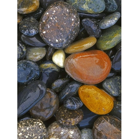 Stones, Lopez Island, Agate Beach County, Washington, USA River Rocks Color Photography Print Wall Art By Charles