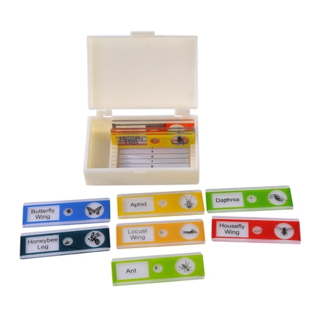 Prepared Microscope Slide Set of Insects. Set of 10 Plastic Slides price history on PriceWatchPro
