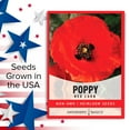thumbnail image 7 of Red Corn Poppy Seeds, 7 of 7